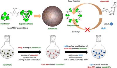 Drug-Loaded Lipid-Coated Hybrid Organic-Inorganic “Stealth” Nanoparticles for Cancer Therapy